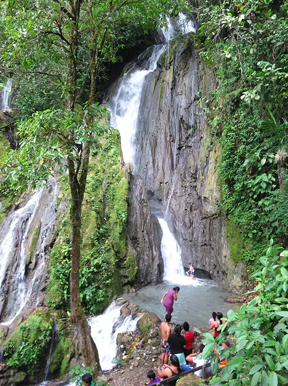 tingomaria - catarata honolulo